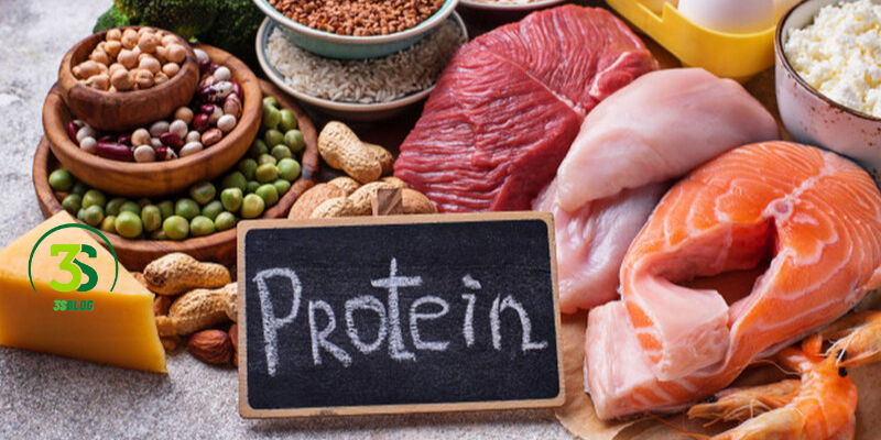 Protein Should You Eat per Day