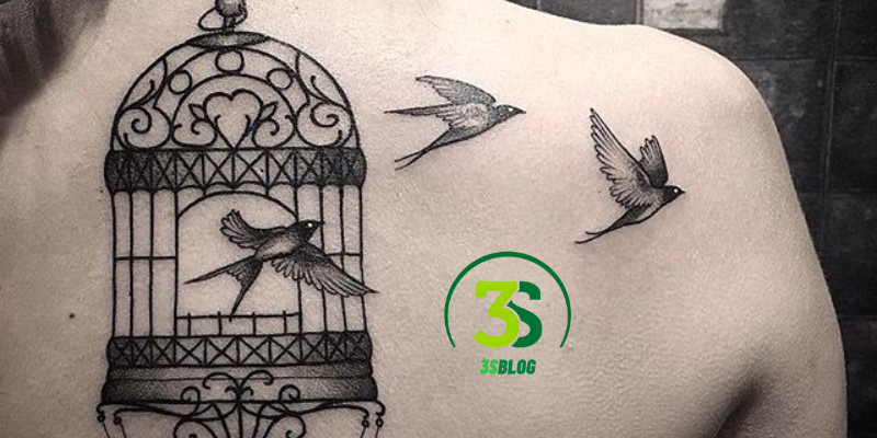 Birdcage Tattoos Meanings