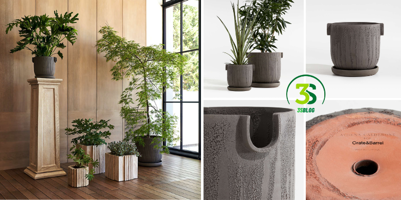 Interior Plant Pots from Crate and Barrel